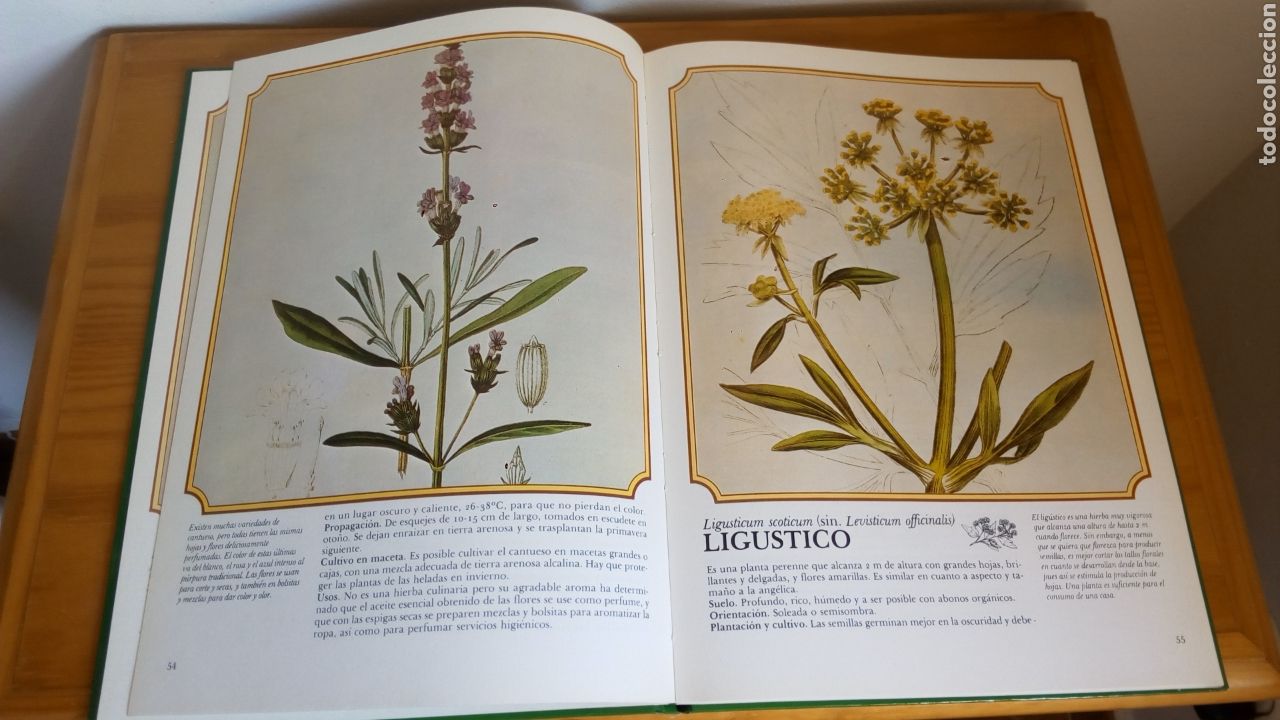 Libros de segunda mano: El mundo de las hierbas - Vidorama - Foto 3