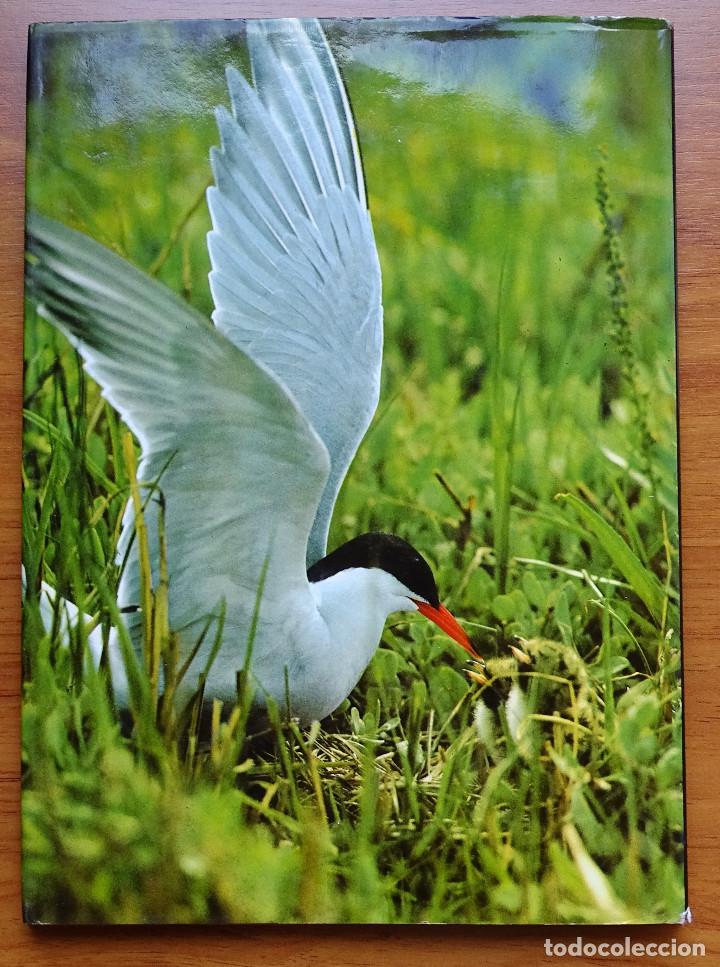 Libros de segunda mano: La Naturaleza. Las aves. Bruce Coleman. - Foto 3