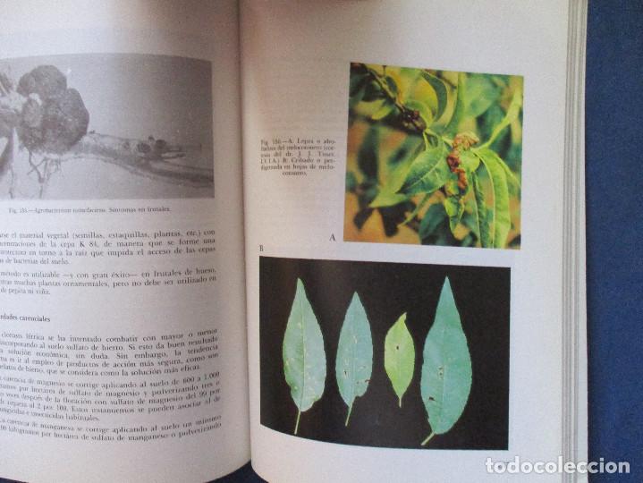 Libros de segunda mano: PLAGAS DEL CAMPO / 1988 S. PLANES &middot; J.M. CARRERO - Foto 4
