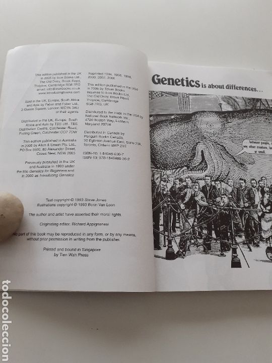 Libros de segunda mano: Introducing Genetics, Steve Jones Borin Van Loon, ingl&eacute;s 1993 - Foto 4