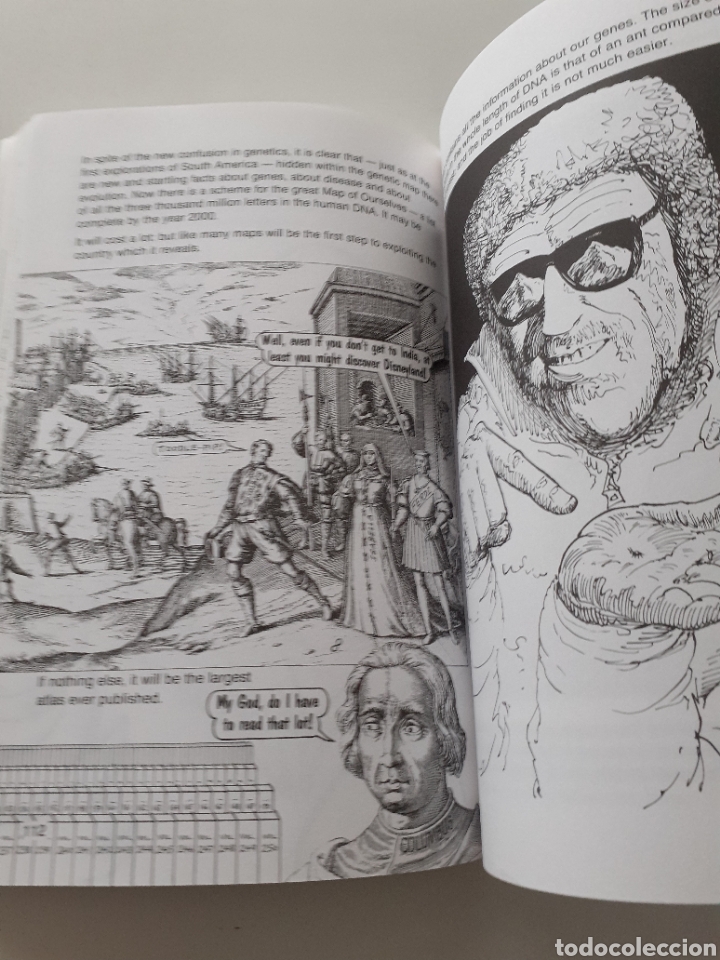 Libros de segunda mano: Introducing Genetics, Steve Jones Borin Van Loon, ingl&eacute;s 1993 - Foto 6