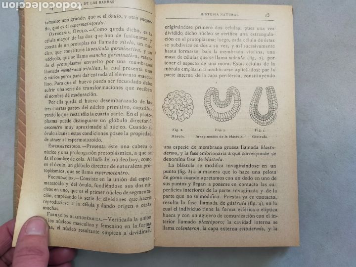 Libros de segunda mano: HISTORIA NATURAL. FRANCISCO DE BARRAS. ED DE LA LECTURA. - Foto 6