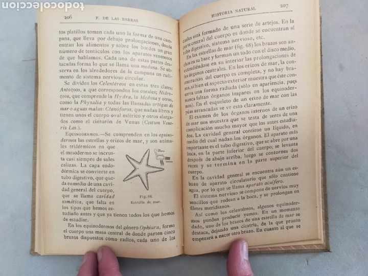 Libros de segunda mano: HISTORIA NATURAL. FRANCISCO DE BARRAS. ED DE LA LECTURA. - Foto 9