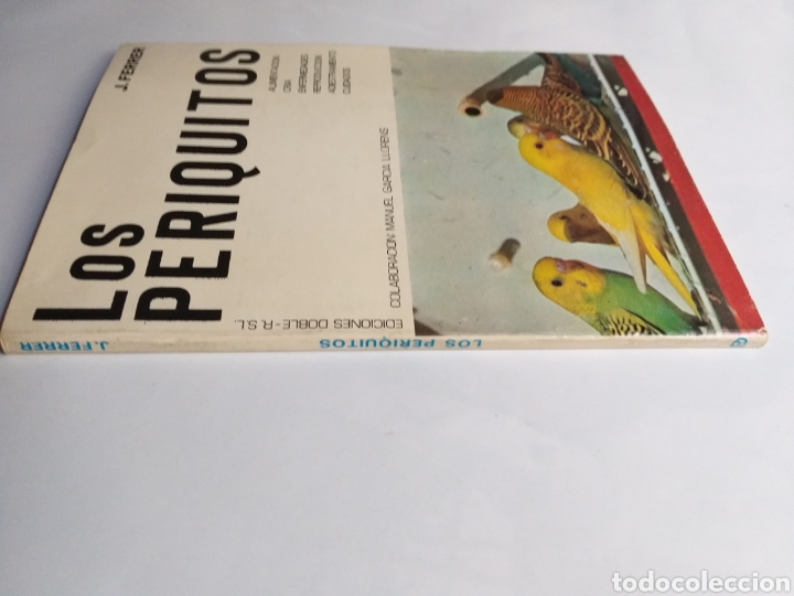 Libros de segunda mano: Los periquitos J.Ferrer - Foto 3