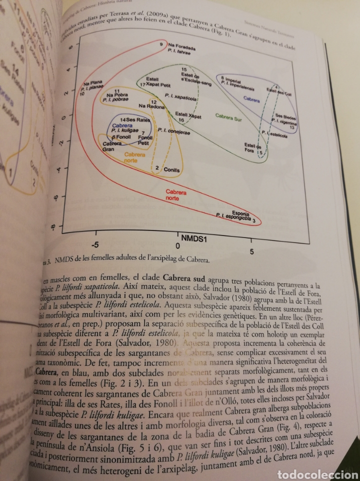 Libros de segunda mano: ARXIP&Egrave;LAG DE CABRERA: HIST&Ograve;RIA NATURAL (SHNB) - Foto 5