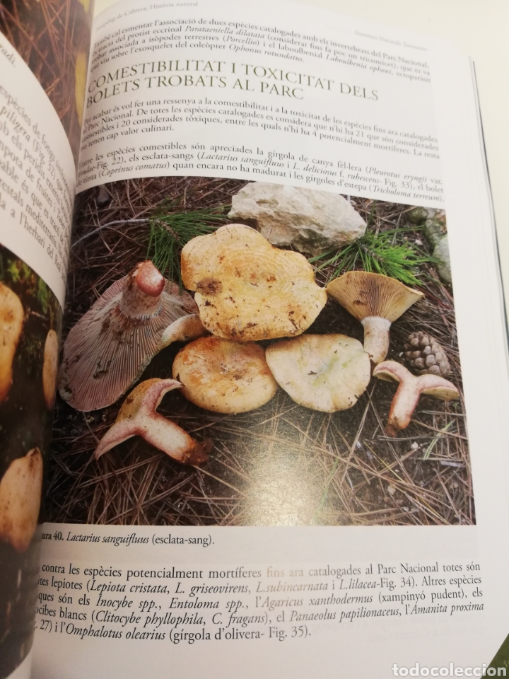 Libros de segunda mano: ARXIP&Egrave;LAG DE CABRERA: HIST&Ograve;RIA NATURAL (SHNB) - Foto 7