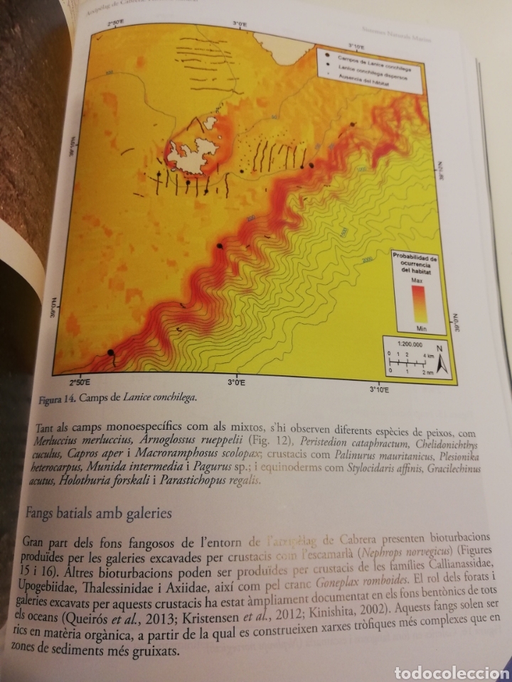 Libros de segunda mano: ARXIP&Egrave;LAG DE CABRERA: HIST&Ograve;RIA NATURAL (SHNB) - Foto 9