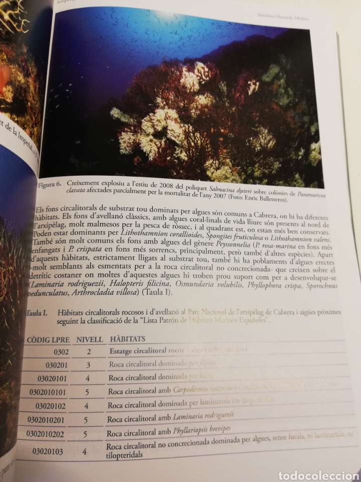 Libros de segunda mano: ARXIP&Egrave;LAG DE CABRERA: HIST&Ograve;RIA NATURAL (SHNB) - Foto 10