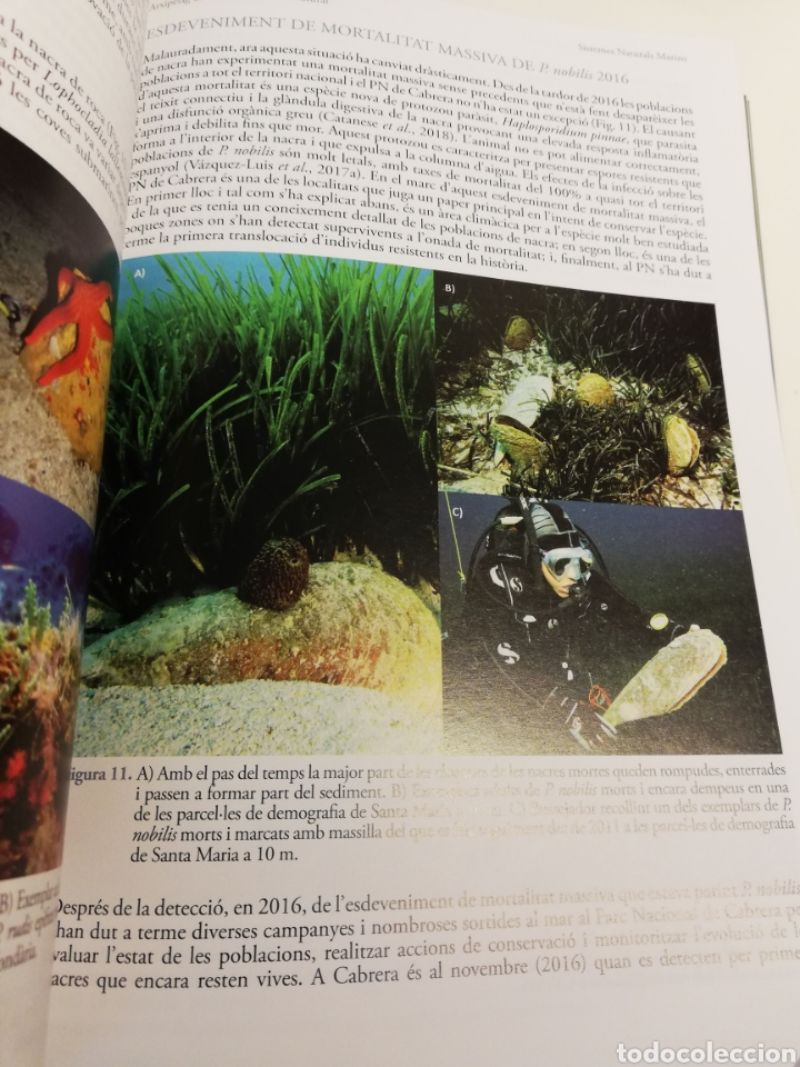 Libros de segunda mano: ARXIP&Egrave;LAG DE CABRERA: HIST&Ograve;RIA NATURAL (SHNB) - Foto 11
