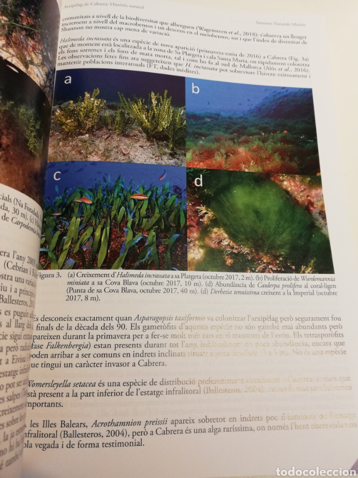 Libros de segunda mano: ARXIP&Egrave;LAG DE CABRERA: HIST&Ograve;RIA NATURAL (SHNB) - Foto 14