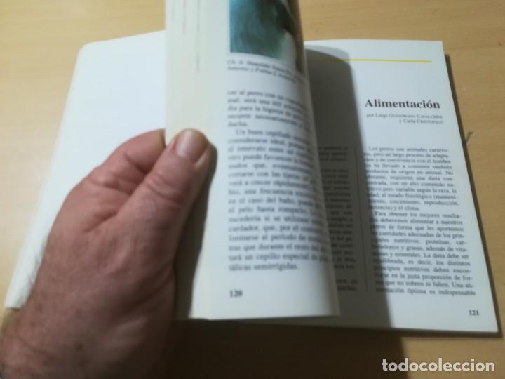 Libros de segunda mano: EL SAMOYEDO / FABIO C FIORAVANZI / DE VECCHI / ALL68 - Foto 13