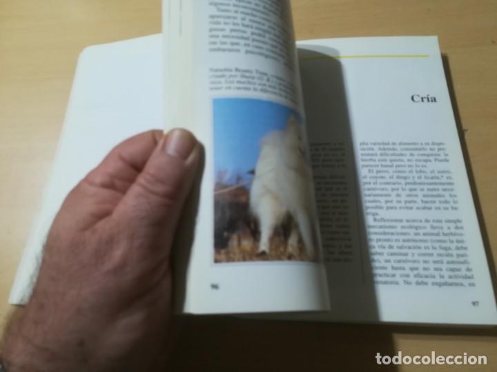 Libros de segunda mano: EL SAMOYEDO / FABIO C FIORAVANZI / DE VECCHI / ALL68 - Foto 14