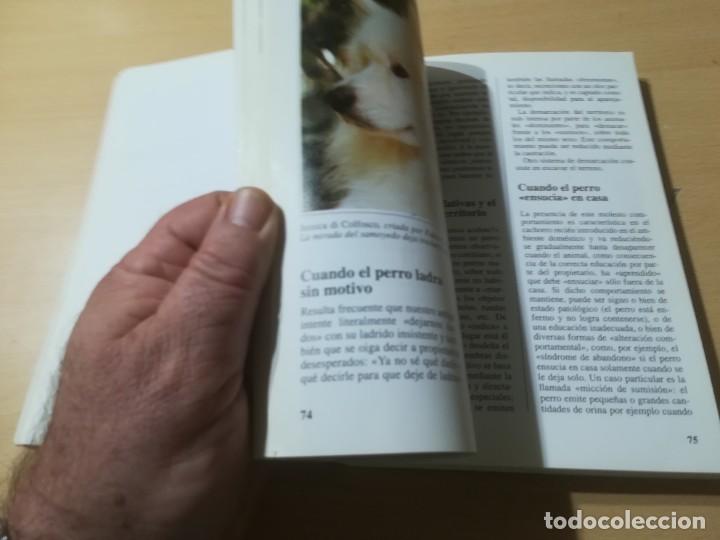 Libros de segunda mano: EL SAMOYEDO / FABIO C FIORAVANZI / DE VECCHI / ALL68 - Foto 15
