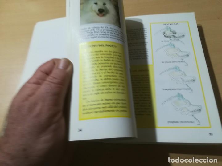 Libros de segunda mano: EL SAMOYEDO / FABIO C FIORAVANZI / DE VECCHI / ALL68 - Foto 17