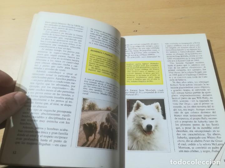 Libros de segunda mano: EL SAMOYEDO / FABIO C FIORAVANZI / DE VECCHI / AM55 - Foto 11