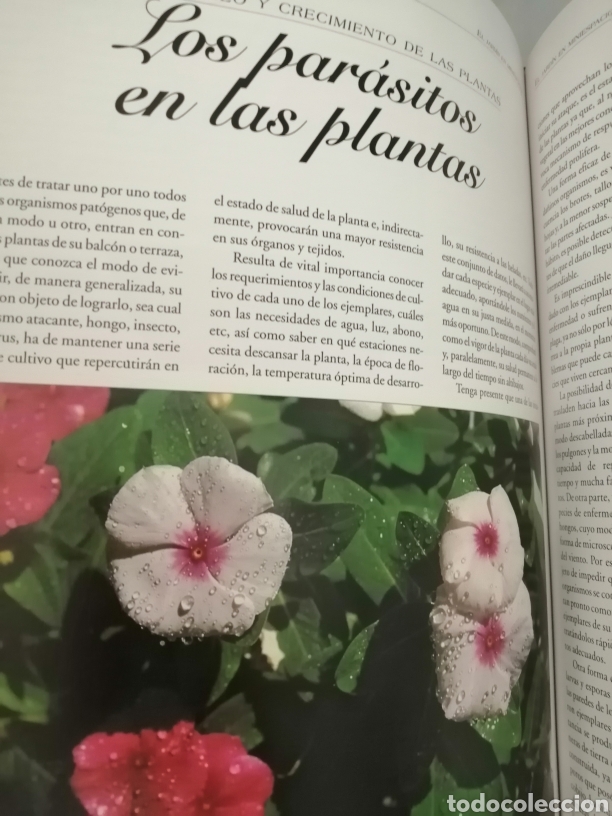 Libros de segunda mano: GRAN ATLAS PR&Aacute;CTICO DEL JARD&Iacute;N - Foto 8