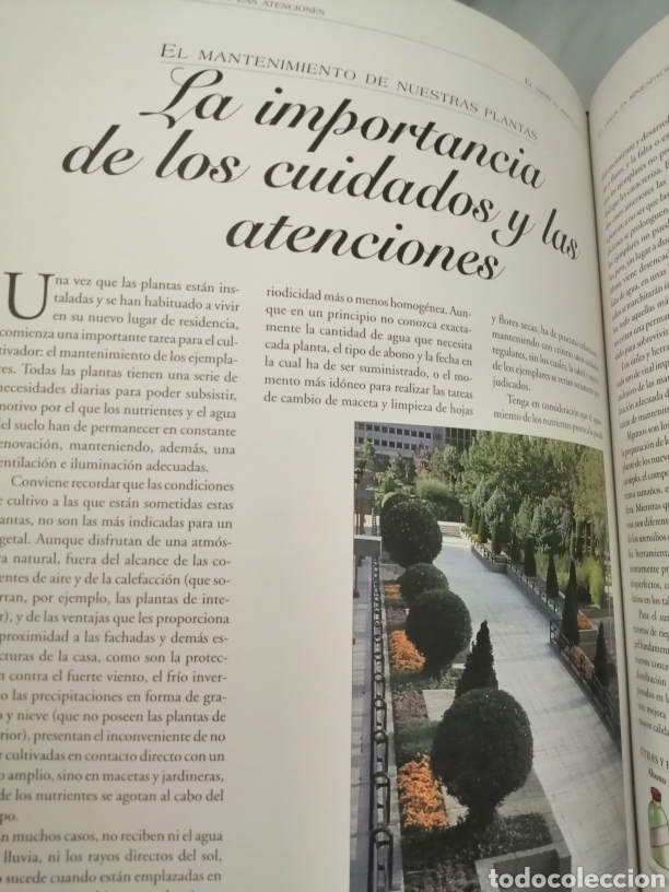 Libros de segunda mano: GRAN ATLAS PR&Aacute;CTICO DEL JARD&Iacute;N - Foto 10