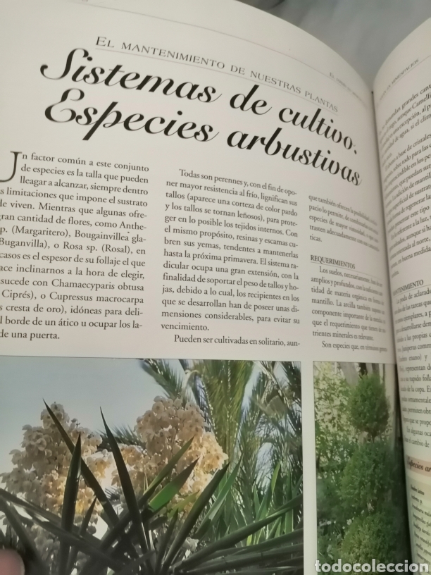 Libros de segunda mano: GRAN ATLAS PR&Aacute;CTICO DEL JARD&Iacute;N - Foto 11