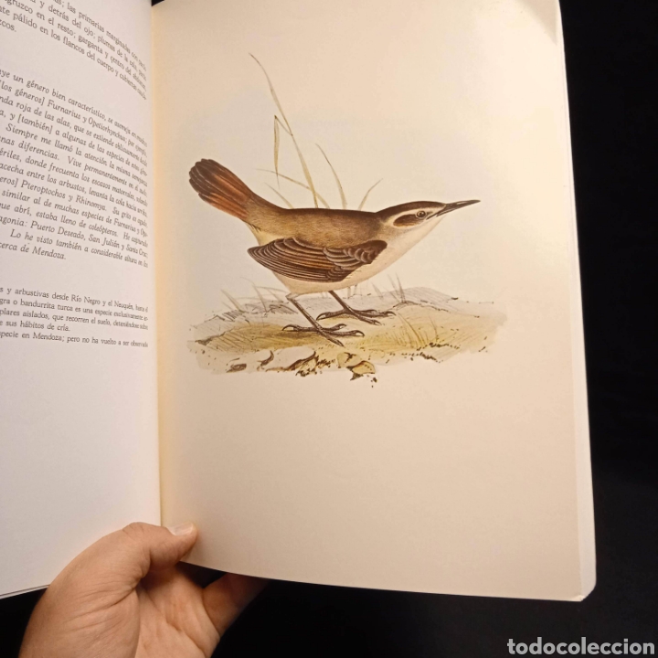 Libros de segunda mano: AVES Y MAM&Iacute;FEROS ARGENTINOS - CHARLES DARWIN - EMEC&Eacute; - Foto 3