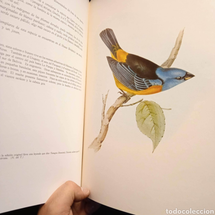 Libros de segunda mano: AVES Y MAM&Iacute;FEROS ARGENTINOS - CHARLES DARWIN - EMEC&Eacute; - Foto 4