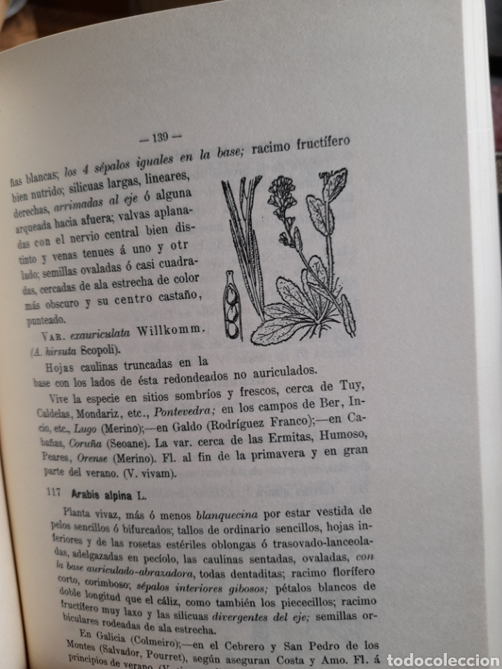 Libros de segunda mano: Flora Descriptiva e ilustrada de Galicia, Tomo I - Foto 4