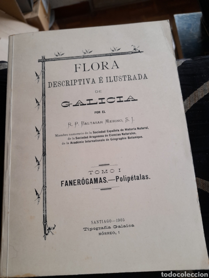 Libros de segunda mano: Flora Descriptiva e ilustrada de Galicia, Tomo I - Foto 1