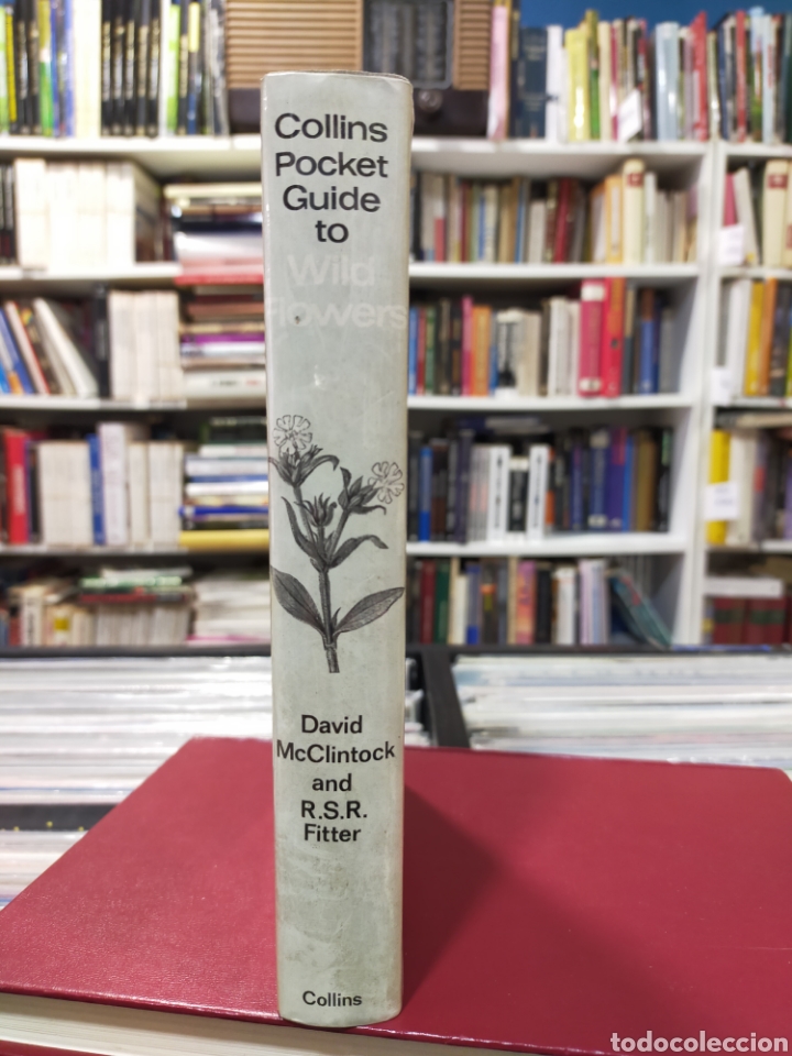 Libros de segunda mano: WILD FLOWERS - COLLINS POCKET GUIDE - McCLINTOCK - FITTER - Foto 3