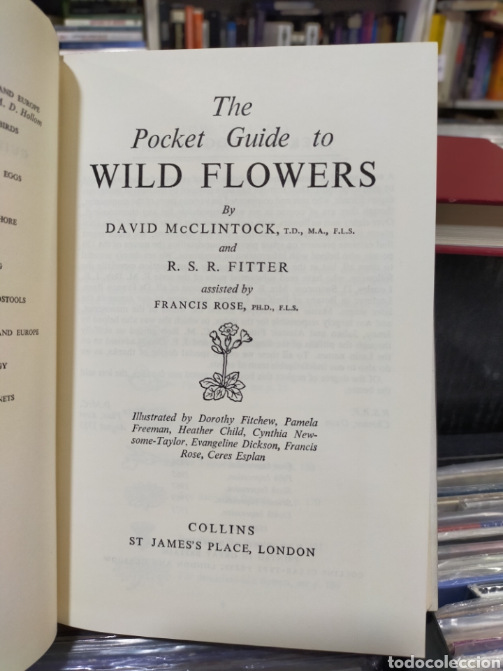 Libros de segunda mano: WILD FLOWERS - COLLINS POCKET GUIDE - McCLINTOCK - FITTER - Foto 8