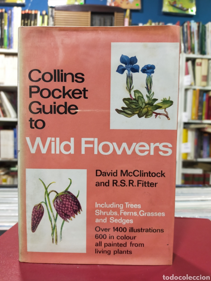 Libros de segunda mano: WILD FLOWERS - COLLINS POCKET GUIDE - McCLINTOCK - FITTER - Foto 1