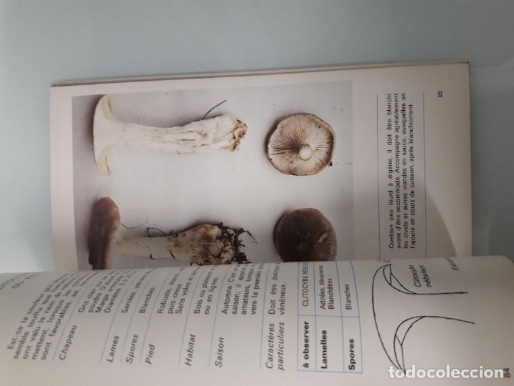 Libros de segunda mano: COMMENT RECONNA&Icirc;TRE 30 CHAMPIGNONS COMESTIBLES - A. DEVIGNES - RECONOCER CHAMPI&Ntilde;ONES - FRANC&Eacute;S - Foto 7