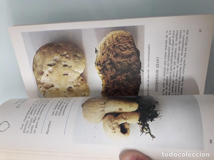 Libros de segunda mano: COMMENT RECONNA&Icirc;TRE 30 CHAMPIGNONS COMESTIBLES - A. DEVIGNES - RECONOCER CHAMPI&Ntilde;ONES - FRANC&Eacute;S - Foto 8
