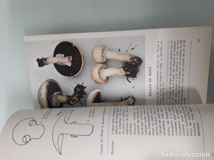 Libros de segunda mano: COMMENT RECONNA&Icirc;TRE 30 CHAMPIGNONS COMESTIBLES - A. DEVIGNES - RECONOCER CHAMPI&Ntilde;ONES - FRANC&Eacute;S - Foto 9
