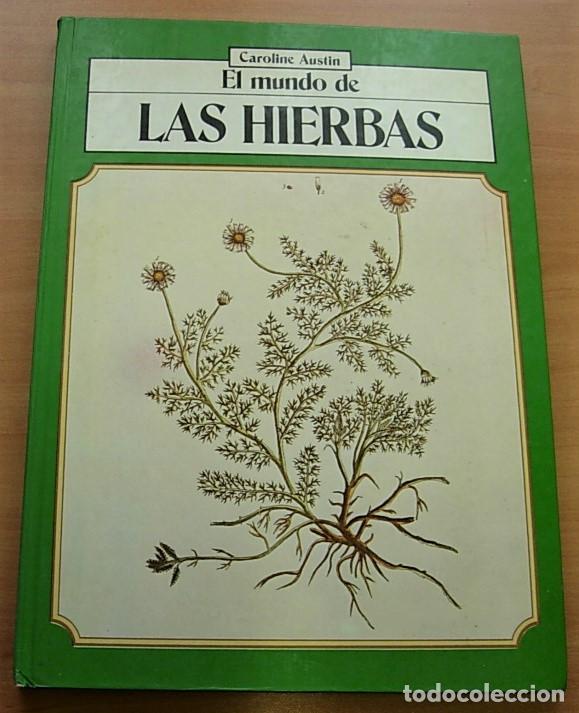 Libros de segunda mano: Libro EL MUNDO DE LAS HIERBAS de CAROLINE AUSTIN 1981 Raro - Foto 1