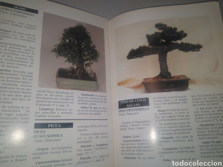 Libros de segunda mano: Libro Cuidados y consejos para su bonsai - Foto 2
