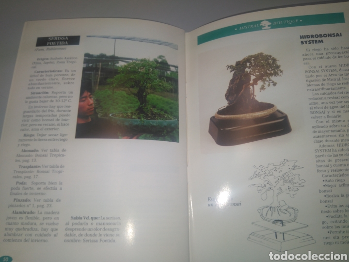 Libros de segunda mano: Libro Cuidados y consejos para su bonsai - Foto 3