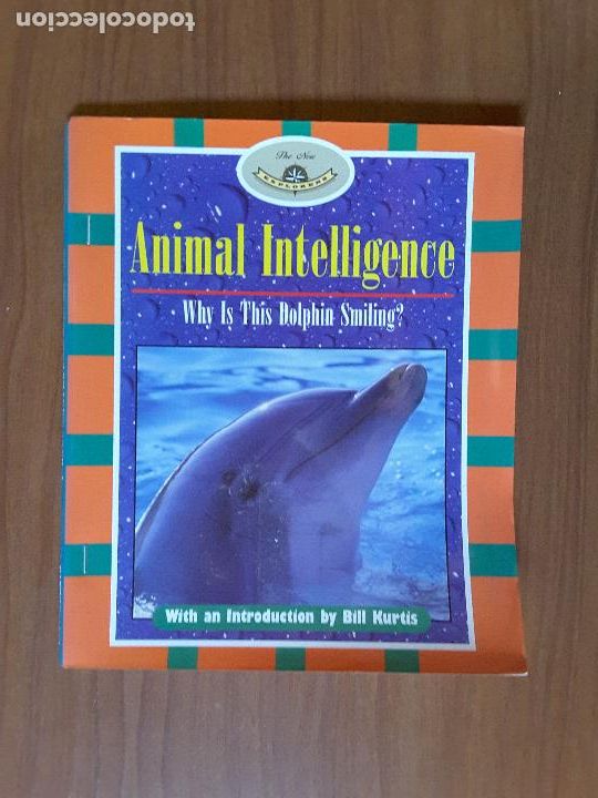 Libros de segunda mano: Animal Intelligence. Elaine Pascoe. - Foto 1