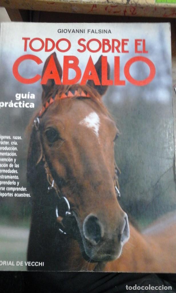 Libros de segunda mano: TODO SOBRE EL CABALLO. Gu&iacute;a pr&aacute;ctica (Barcelona, 1991) - Foto 1