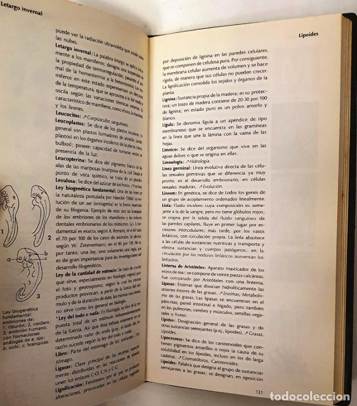 Libros de segunda mano: DICCIONARIOS RIODUERO. BIOLOGIA. 1972. - Foto 3