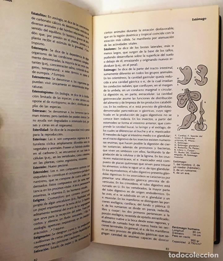 Libros de segunda mano: DICCIONARIOS RIODUERO. BIOLOGIA. 1972. - Foto 4