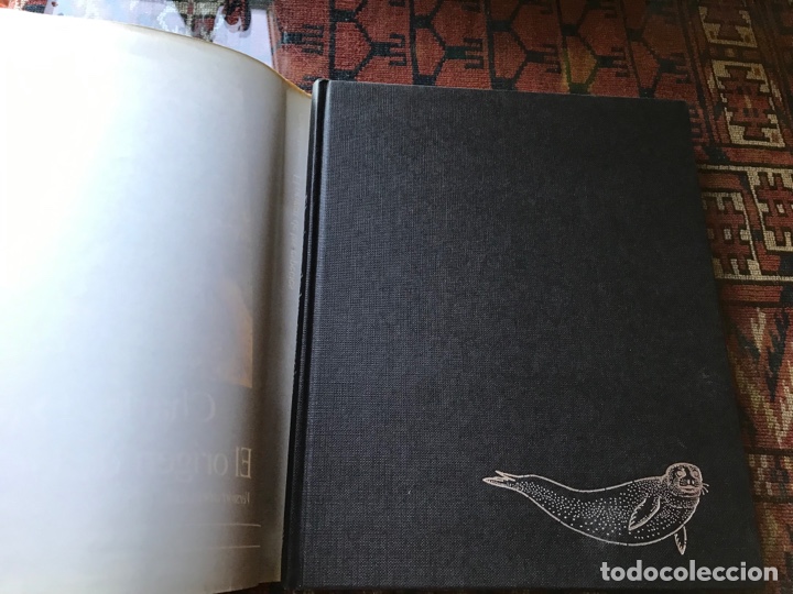 Libros de segunda mano: El origen de las especies. Charles Darwin. Ilustrado. Versi&oacute;n abreviada. C&iacute;rculo de lectores - Foto 3