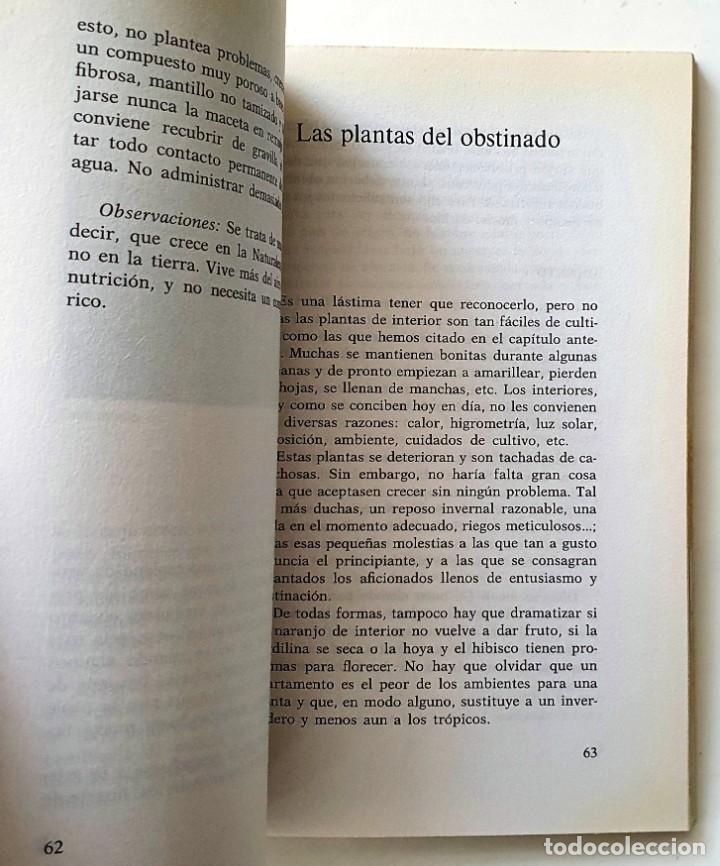 Libros de segunda mano: LAS PLANTAS DE INTERIOR. ANNETTE Y PATRICK MIOULANE. VECCHI 1992. - Foto 3