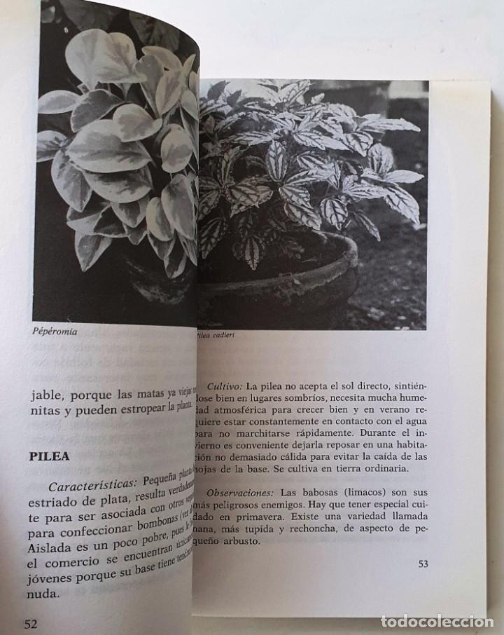Libros de segunda mano: LAS PLANTAS DE INTERIOR. ANNETTE Y PATRICK MIOULANE. VECCHI 1992. - Foto 4