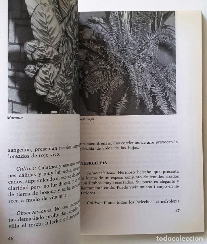 Libros de segunda mano: LAS PLANTAS DE INTERIOR. ANNETTE Y PATRICK MIOULANE. VECCHI 1992. - Foto 5