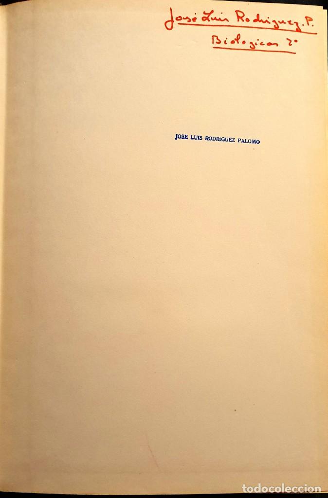 Libros de segunda mano: TRATADO DE BOTANICA. STRASBURGER. MARIN 1971. 5&ordf; EDICION. - Foto 3