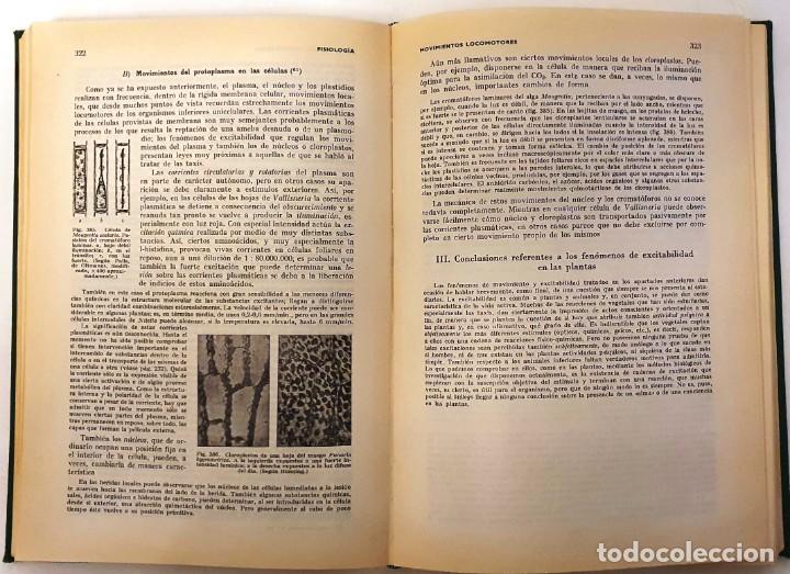 Libros de segunda mano: TRATADO DE BOTANICA. STRASBURGER. MARIN 1971. 5&ordf; EDICION. - Foto 5