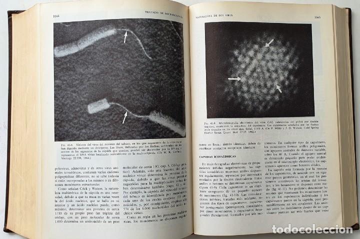Libros de segunda mano: TRATADO DE MICROBIOLOGIA. B. D. DAVIS. SALVAT 1972. - Foto 4