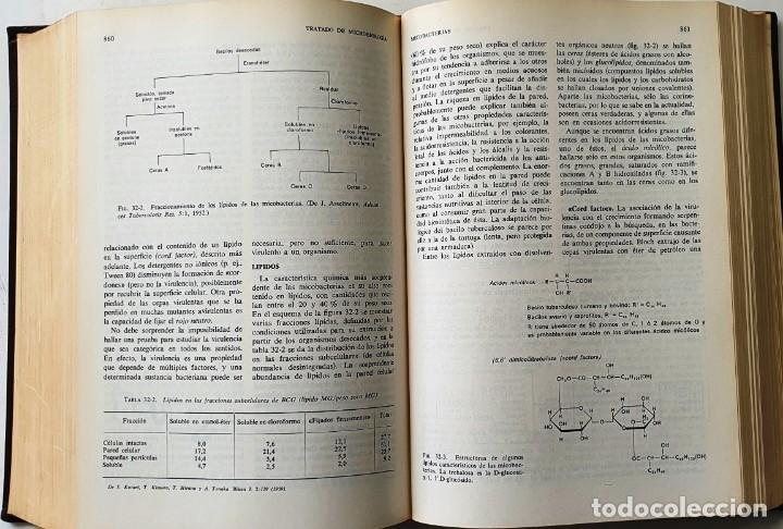 Libros de segunda mano: TRATADO DE MICROBIOLOGIA. B. D. DAVIS. SALVAT 1972. - Foto 5
