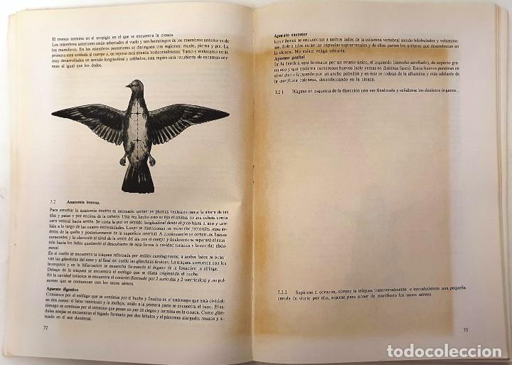 Libros de segunda mano: PRACTICAS DE BIOLOGIA. FONTALBA 1978. - Foto 5