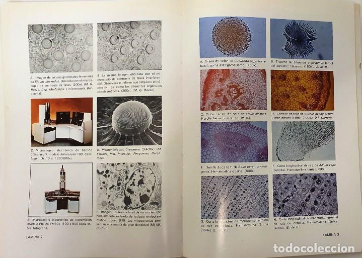 Libros de segunda mano: PRACTICAS DE BIOLOGIA. FONTALBA 1978. - Foto 6