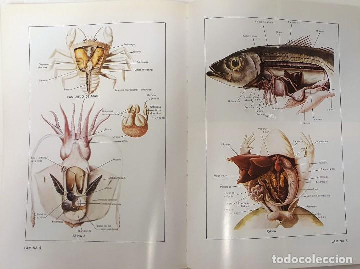 Libros de segunda mano: PRACTICAS DE BIOLOGIA. FONTALBA 1978. - Foto 7